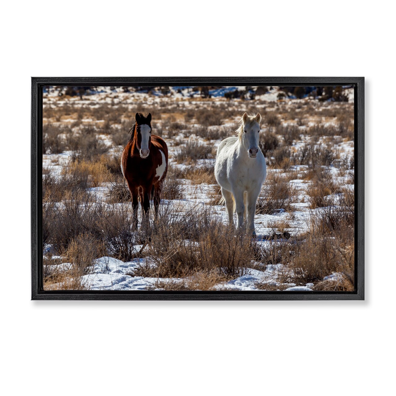 Stupell Industries Arches Horse Pair in Snow Floating Frame, design by Jeff Poe Photography